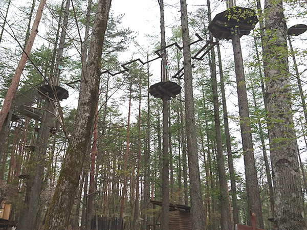 最大で高さ14mの樹上から立体機動気分を味わえるアスレチック「フォレストアドベンチャー」